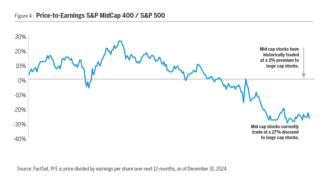 Mid cap stocks are forecast to grow their earning much faster than large cap stocks